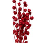 Dried Lantern Flower Red