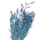 Dried Limonium Blue