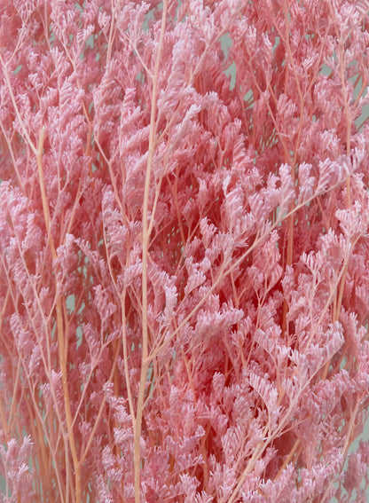 Dried Limonium Pink