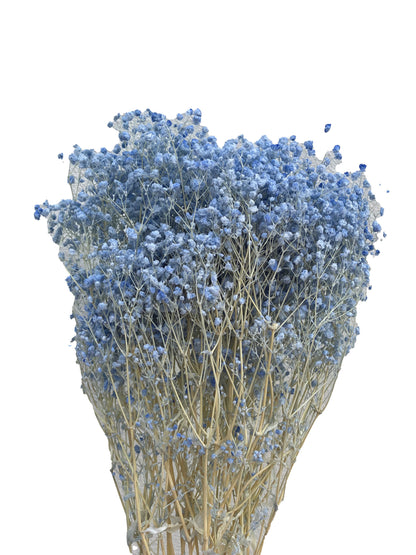 Dried Baby Breath Bleached Blue