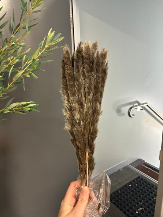 Dried Preserved Warm Charcoal coloured small fluffy Grass