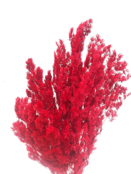 Dried Ming Red