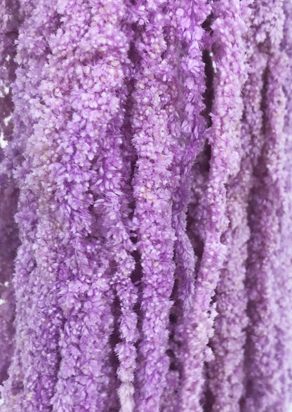       fake amaranthus purple
