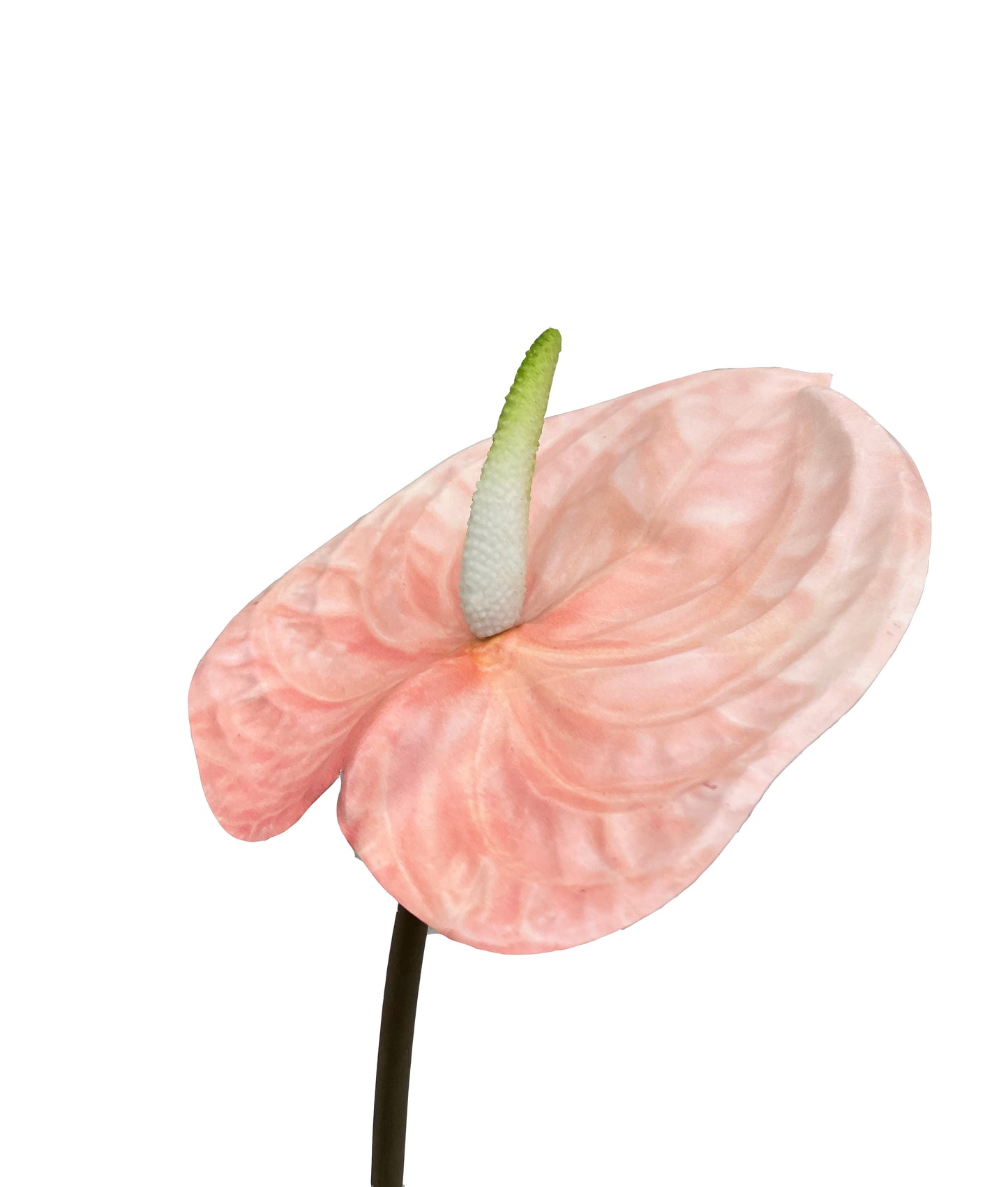 Anthurium artificiel rose