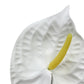 Artificial Anthurium White