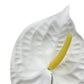 artificial anthurium white