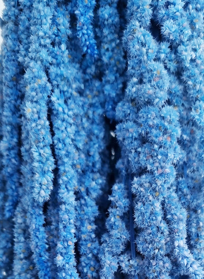    fake blue amaranthus
