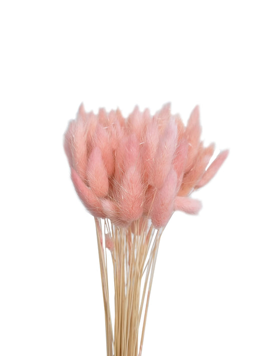     fake bunny tails pink