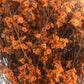    fake dried flowers orange