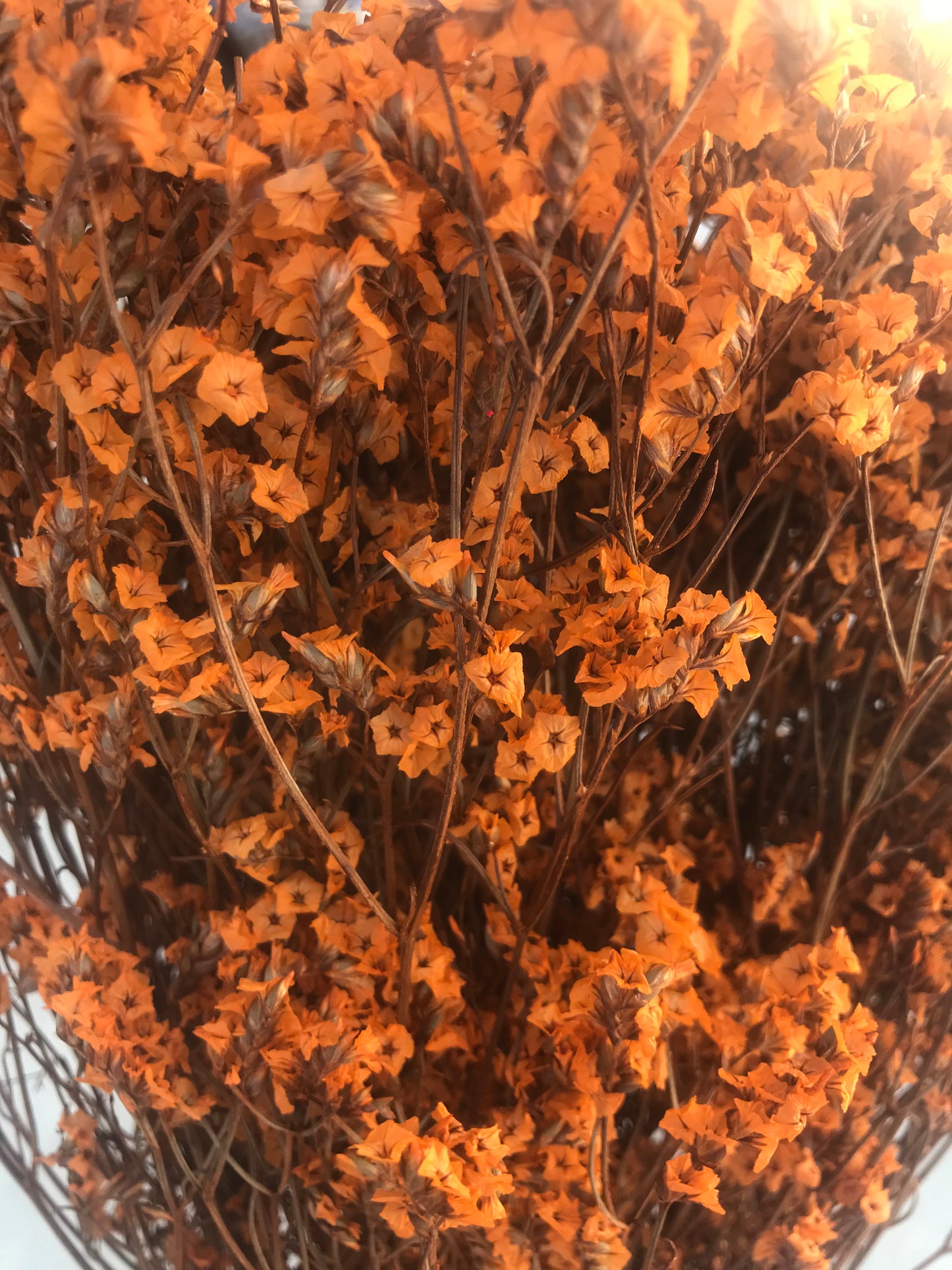    fake dried flowers orange