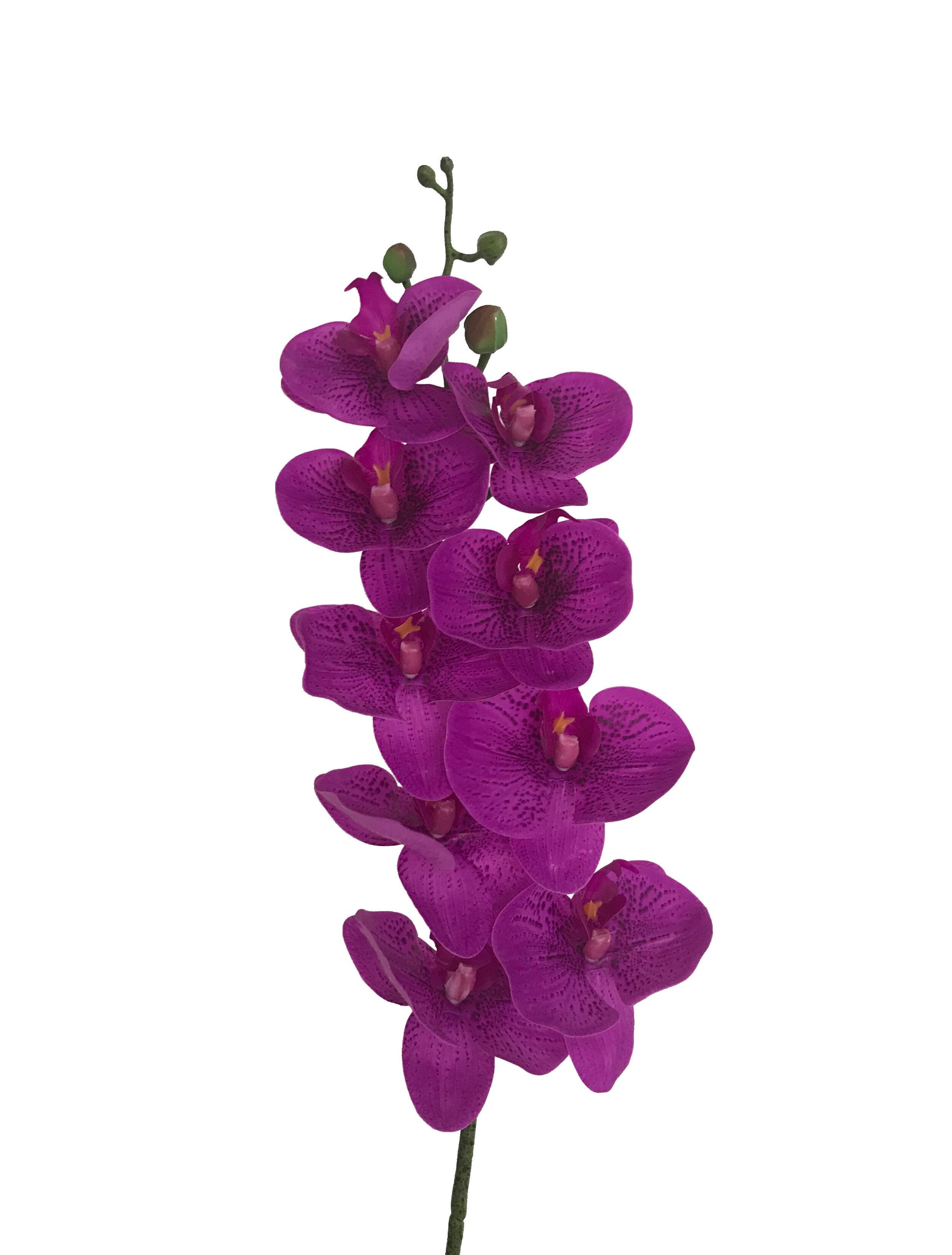    fake purple orchid real touch