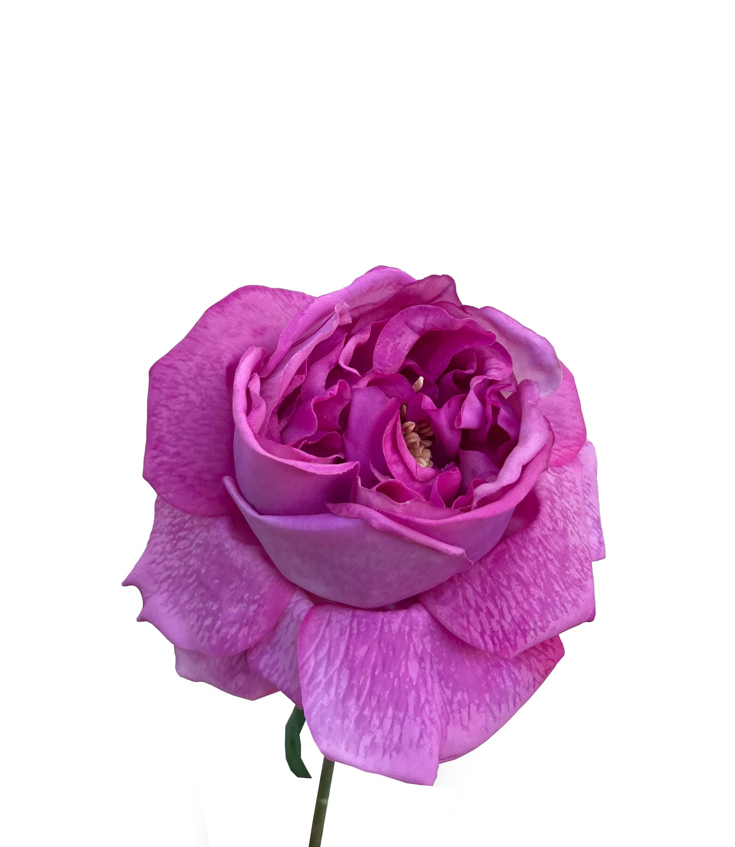 Artificial Real Touch Peony Fuchsia