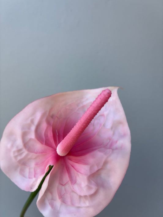 Real Touch Artificial Anthurium Pink