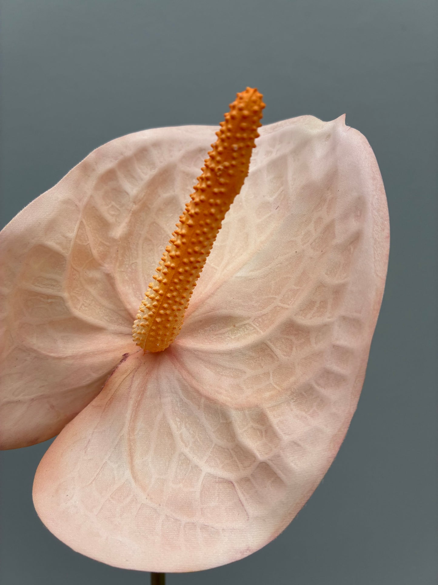 Anthurium artificiel blanc