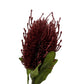 Artificial Banksia Red