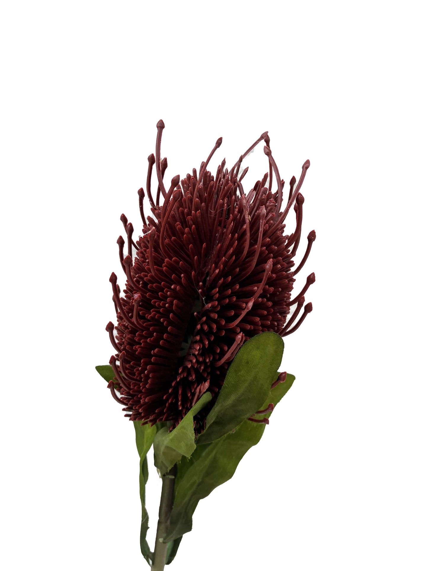 Artificial Banksia Red