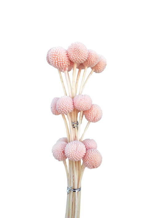     faux billy buttons soft pink