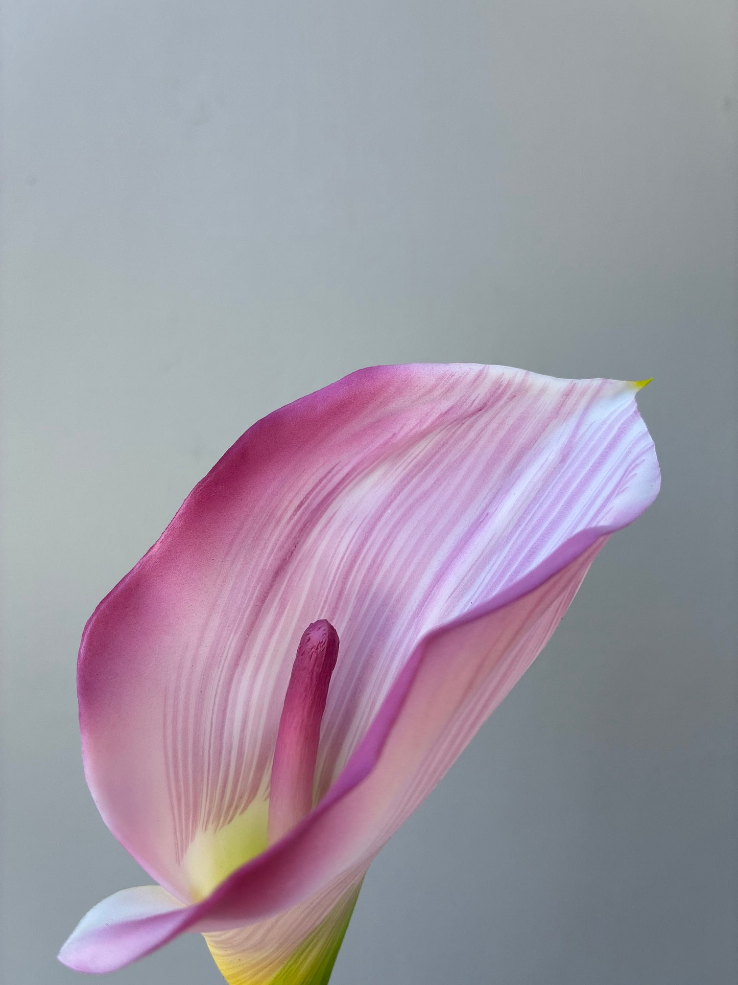 Artificial Real Touch Calla Lily Pink