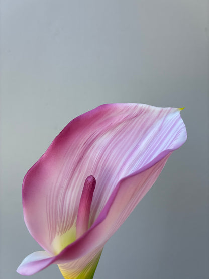 Artificial Real Touch Calla Lily Pink