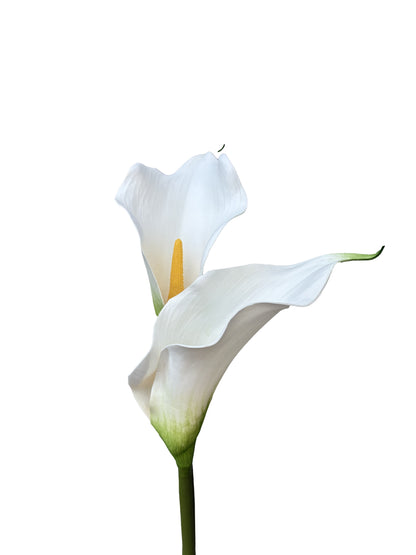 Artificial Calla Lily White Style 2