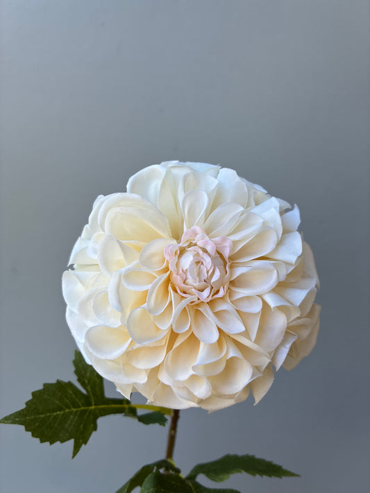 Dahlia artificiel ivoire