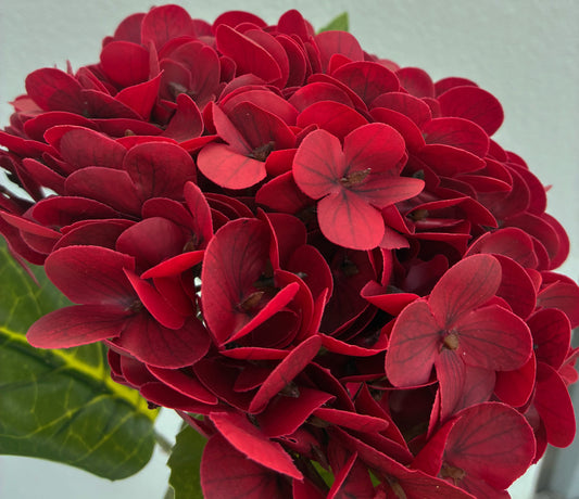 Artificial Real Touch Hydrangea Dark Red