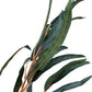 Artificial Eucalyptus Gum Branch