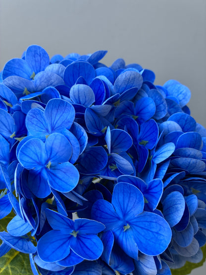 Artificial Real Touch Hydrangea Blue