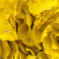 Artificial Hydrangea Bunch Yellow
