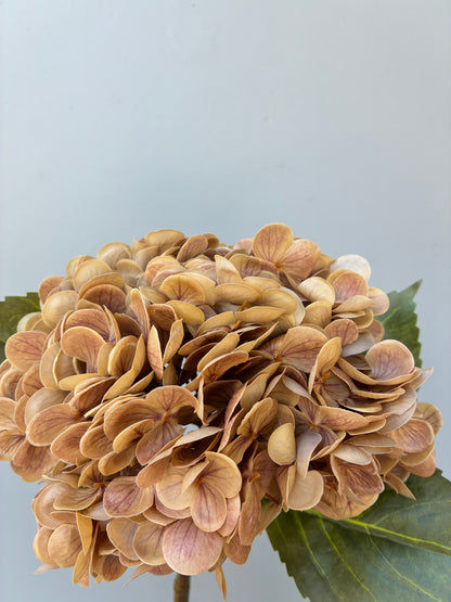 Artificial Real Touch Hydrangea Warm Nude