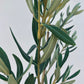 Artificial Olive Branch