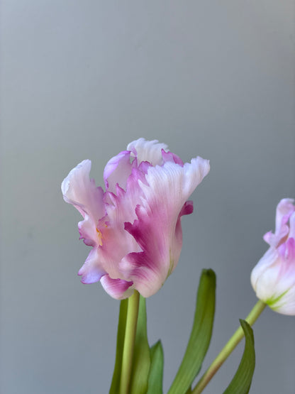 Artificial Real Touch Parrot Tulip Bundle