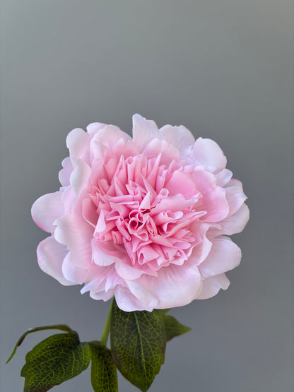 Peonía Artificial Real Touch Fucsia