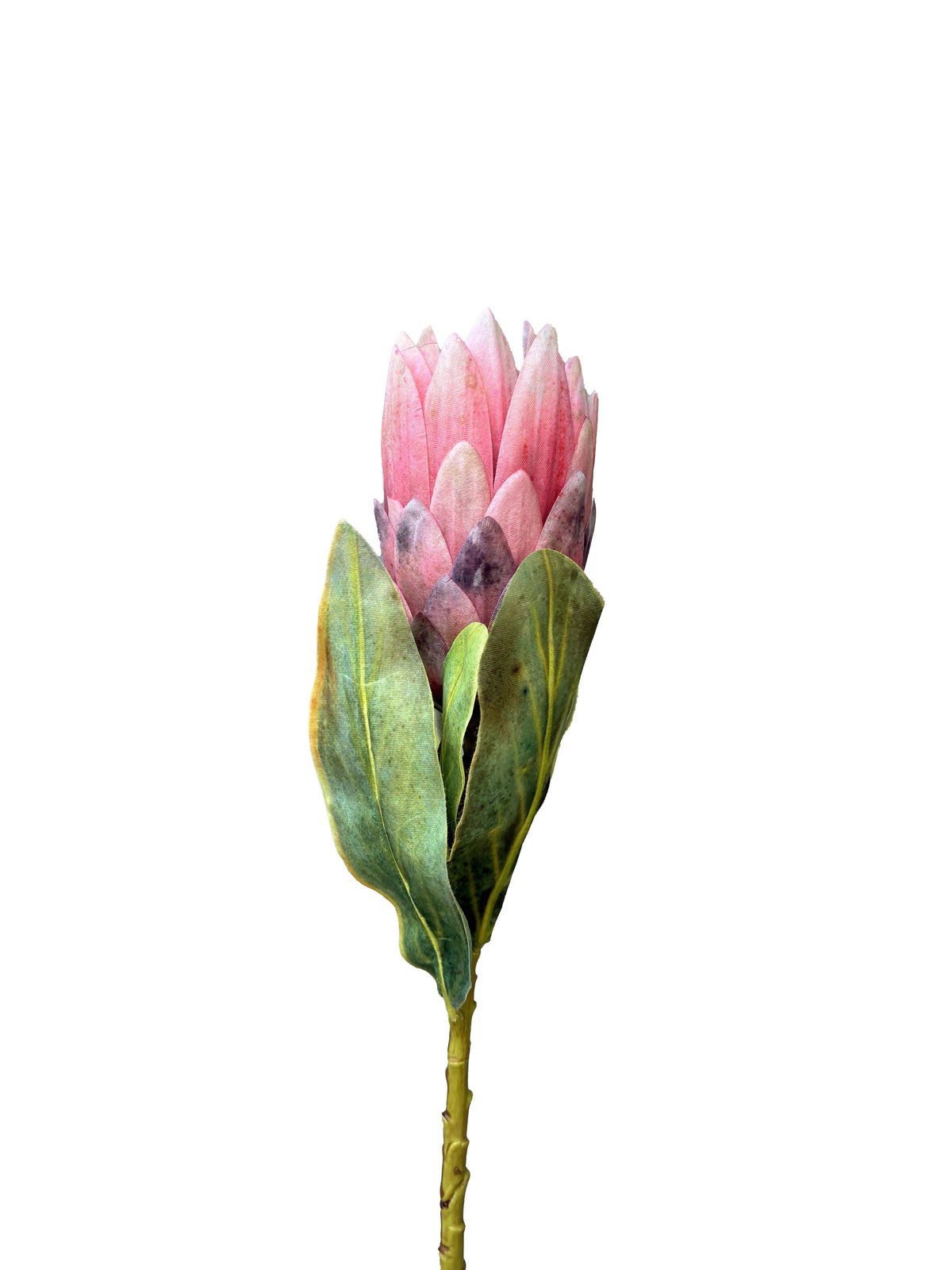 Protea Artificial Roja Petite