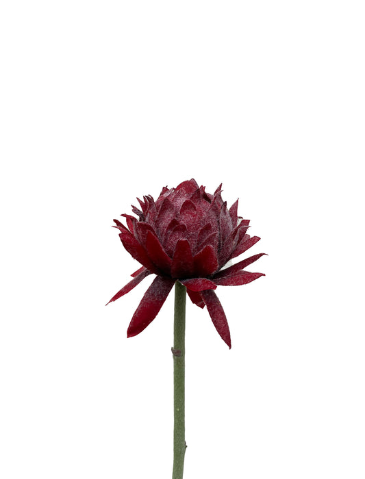 Protea Artificielle Rouge Petite