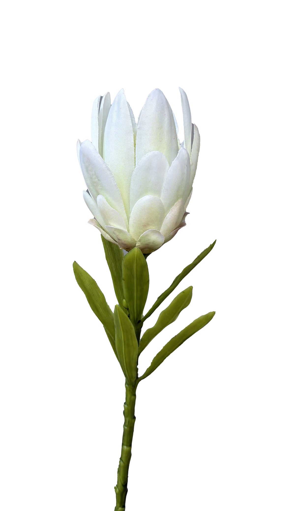 Protea Artificielle Rouge Petite