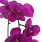       faux purple orchid real touch
