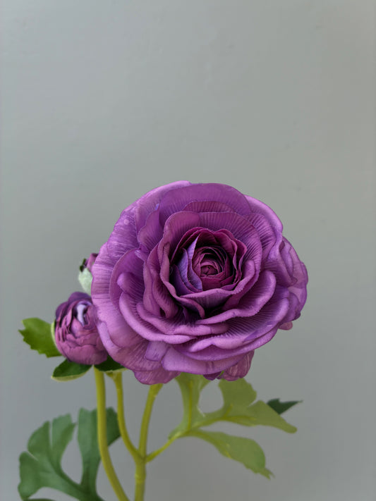 Artificial Real Touch Ranunculus Rose Purple