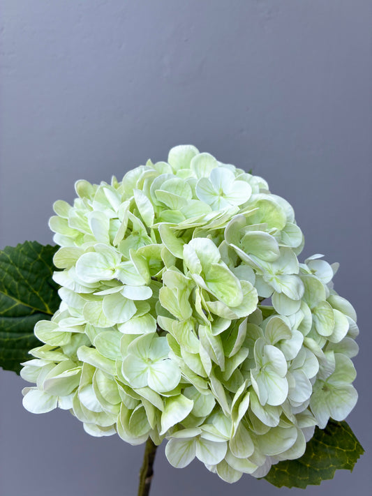 Artificial Real Touch Hydrangea Melon Green