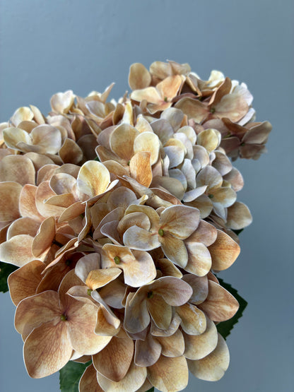 Artificial Hydrangea Bunch Nude Real Touch