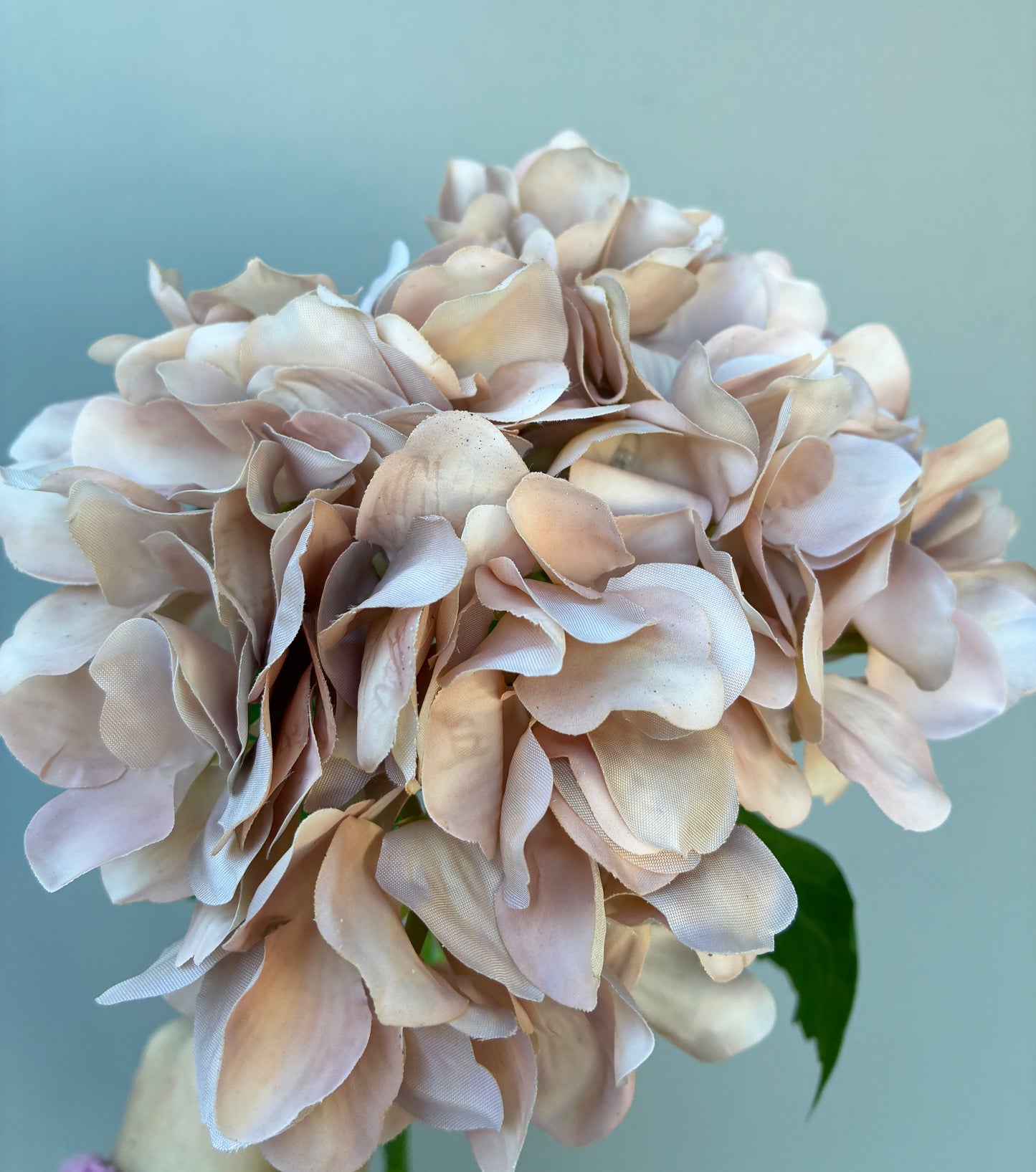 Artificial Real Touch Hydrangea Nude