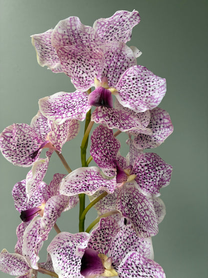 Artificial vanda Real Touch Orchid Lilac Purple