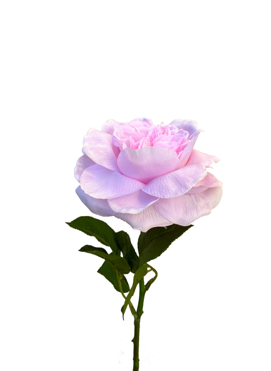 Artificial Real Touch Peony Light Pink