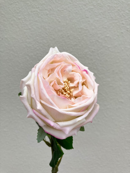 Artificial Real Touch Peony Pale Peach