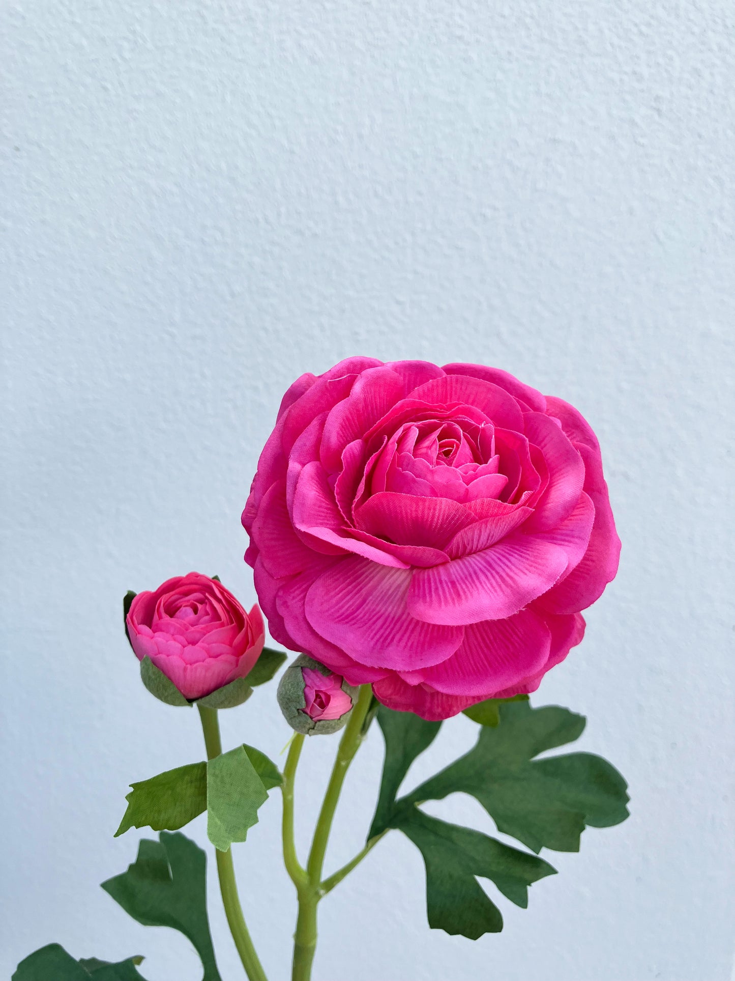 Artificial Real Touch Ranunculus Rose Hot Pink