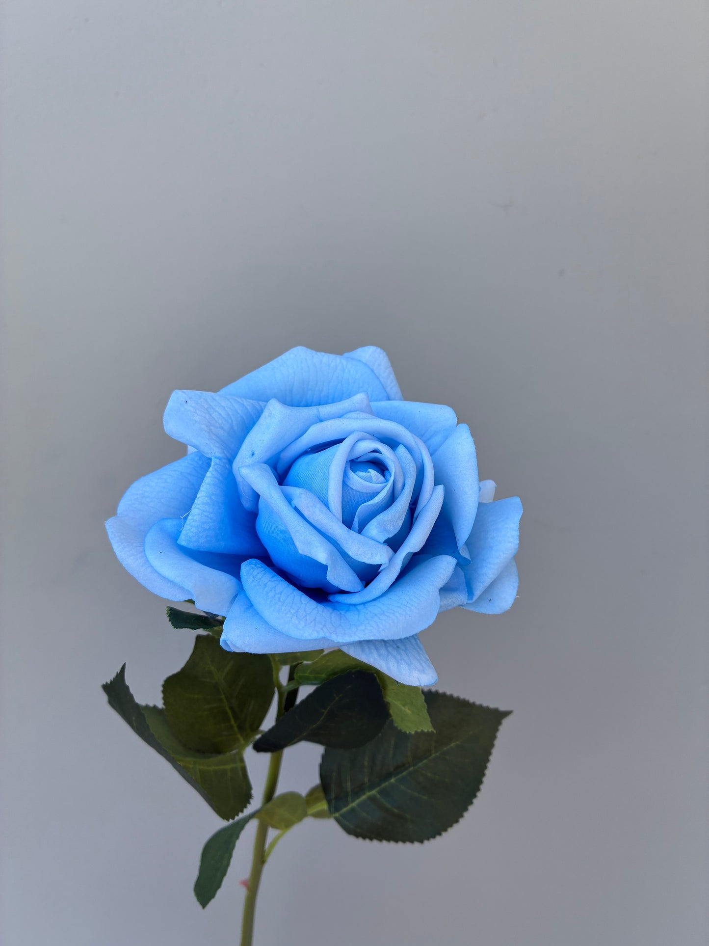 Real Touch Rose Blue