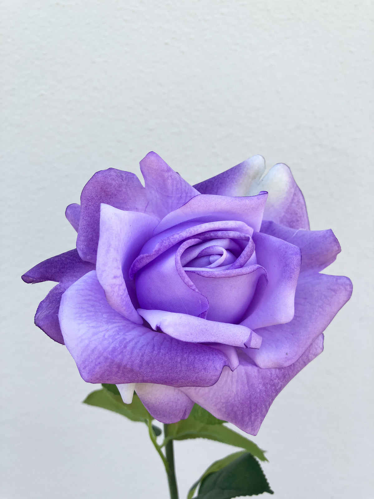 Lilac English Roses Real Touch Rose Lilac Purple – Wild Blooms