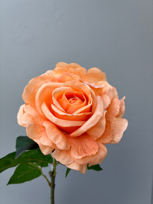 Real Touch Rose Soft Orange