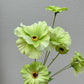Artificial Cosmos Spray Green