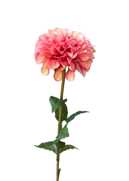 Dahlia artificiel ivoire